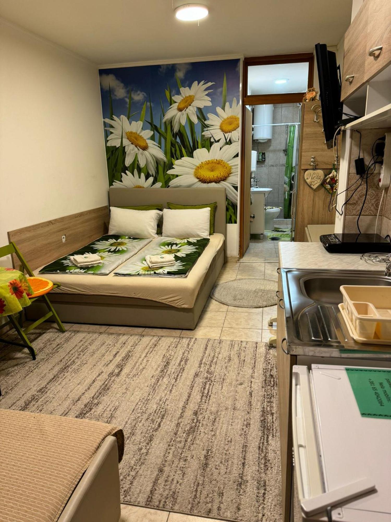 Nela Apartmani Ni Εξωτερικό φωτογραφία
