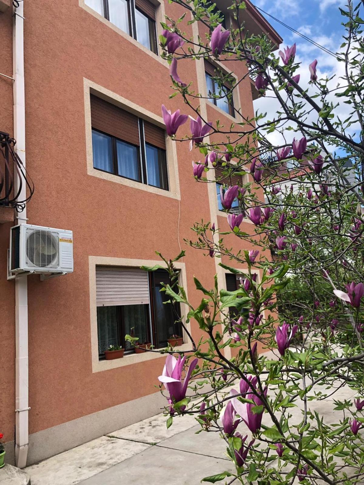 Nela Apartmani Ni Εξωτερικό φωτογραφία